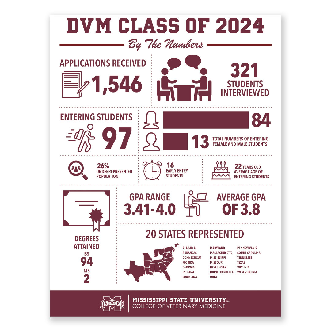 Infographic for DVM class of 2024 by Hayley Gilmore